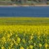 چه زمانی به کیش سفر کنیم؟